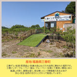 ブルーベリー 【三春インターブルーベリー園】 冷凍ブルーベリー 中粒以上 1kg 国産 福島県 三春町 冷凍 フルーツ 果物《7/中旬より出荷》