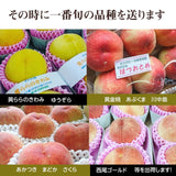 桃 【佐藤果樹園】 品種色々 3kg 9～12個 福島県須賀川市 福島の桃 福島 もも 贈答 プレゼント 《7/上旬～7/中旬より出荷》