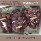 ぶどう 【ﾌﾙｰﾂﾌｧｰﾑいしくら】 葡萄 クイーンニーナ 4～6房 2.8kg 高糖度 山梨県笛吹市 《8月17日頃～8月下旬より出荷》