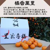 みかん 【昇果園】 青島みかん M~L 10kg 約80～100個 家庭用 静岡県 浜松市 蜜柑 ミカン 《1/中旬～1/下旬より出荷開始》