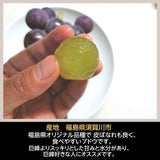 ぶどう 【佐藤果樹園】 あづましずく 1.5kg ２〜4房 贈答用 福島県 ブドウ 葡萄 《8/中旬～下旬出荷》