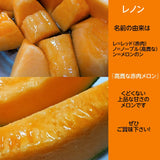 メロン 【OTM出荷組合】 レノン 2L 2玉 糖度15度以上 贈答用 茨城県鉾田市 《5/中旬～5/下旬より出荷》