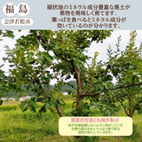 柿 【会津遠藤農園】みしらず柿 御山柿 3.5kg 3L 12個 特秀 化粧箱 贈答用 お歳暮 御歳暮 福島県会津 《11/下旬～12/中旬出荷》