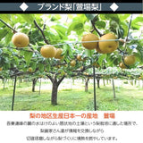 梨 【グリーンファーム】 萱場梨 ５kg ２Lサイズ以上　8～11玉 贈答用 福島県 福島市 和梨 《8/下旬～9/上旬より出荷》