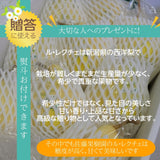 洋梨 【佐藤果樹園】 洋なし ル・レクチェ 1kg 特大 2玉 贈答用 新潟県 ルレクチェ プレゼント 御歳暮 お歳暮 《11/下旬～12/上旬より出荷》