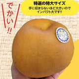 梨 【乙連沢梨園】大きい にっこり 大ビッグサイズ 5kg (1kg×5個) 贈答用 栃木県 《10/上旬～10中旬より出荷》