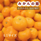 みかん 【みかんの館】 有田みかん ブランド産地 田村地区産 ちびみかん ミニミニ ぷちすぃーと 7㎏ S以下 和歌山県 蜜柑 ミカン 柑橘 《12/中旬～12/下旬より出荷》