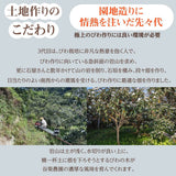 びわ 【谷柴農園】 房州びわ サイズ色々 1kg 家庭用 枇杷 千葉県南房総市 天皇献上の実績 《4/下旬～5/上旬より出荷》