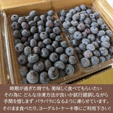 ブルーベリー 【三春インターブルーベリー園】 冷凍ブルーベリー 中粒以上 2kg(1kg×2箱) 国産 福島県 三春町 冷凍 フルーツ 果物《7/中旬より出荷》