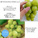 ぶどう 【ﾌﾙｰﾂﾌｧｰﾑいしくら】 葡萄 シャインマスカット 1kg バラ 500gパック×２ 高糖度 山梨県 ご家庭用 《8/10日頃～8/中旬からの出荷》