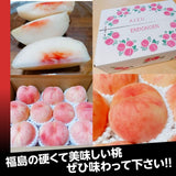 桃 【遠藤農園】 もも 3.5kg 13～14個 7月の桃 昂紀 夏雄美 福島県 会津 《7/中旬～出荷》