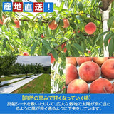 桃 【種まきうさぎ】 あかつき まどか 川中島等 5kg 13～22個 福島県 伊達市 贈答用  プレゼント もも 福島の桃 《7/下旬～8/上旬より出荷》