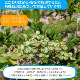 ブルーベリー 【三春インターブルーベリー園】 ブルーベリーソース 200g×3 パウダー25ｇ 朝採出荷 福島県三春町 国産 御中元 御歳暮