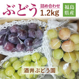 ぶどう 【酒井ぶどう園】 葡萄 詰め合わせ 約1.2kg 2～4房 福島県伊達市《9/上旬～9/中旬より出荷》