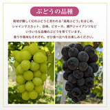 ぶどう 【酒井ぶどう園】 葡萄 詰め合わせ 約1.2kg 2～4房 福島県伊達市《9/上旬～9/中旬より出荷》
