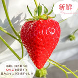 いちご 【アソラベリー】 ２～３種 食べ比べ 紅ほっぺ かおり野 よつぼし 12～15粒 福島県郡山市