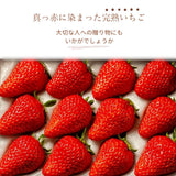 いちご 【アソラベリー】 ２～３種 食べ比べ 紅ほっぺ かおり野 よつぼし 12～15粒 福島県郡山市