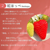 いちご 【アソラベリー】 ２～３種 食べ比べ 紅ほっぺ かおり野 よつぼし 12～15粒 福島県郡山市