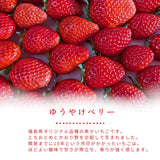いちご 【モスト絆ファーム】 農薬不使用 ゆうやけベリー 250g×4P 福島県伊達市《2/中旬～2/下旬より出荷》