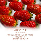 いちご 【モスト絆ファーム】 農薬不使用 ゆうやけベリー 250g×4P 福島県伊達市《2/中旬～2/下旬より出荷》