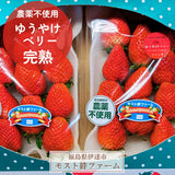 いちご 【モスト絆ファーム】 農薬不使用 ゆうやけベリー 250g×2P 福島県伊達市《2/中旬～2/下旬より出荷》