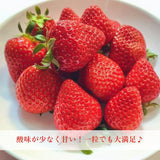 いちご 【モスト絆ファーム】 農薬不使用 ゆうやけベリー 250g×2P 福島県伊達市《2/中旬～2/下旬より出荷》
