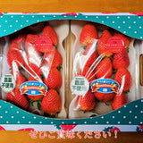 いちご 【モスト絆ファーム】 農薬不使用 ゆうやけベリー 250g×2P 福島県伊達市《2/中旬～2/下旬より出荷》