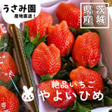 いちご 【うさみ園】 やよいひめ (7～9個)400g×2トレイ 800g  ステビア栽培 低農薬 完熟 茨城県鉾田市
