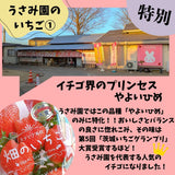 いちご 【うさみ園】 やよいひめ (7～9個)400g×2トレイ 800g  ステビア栽培 低農薬 完熟 茨城県鉾田市