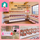 いちご 【うさみ園】 やよいひめ (8～13個)280g×4P 1120g  ステビア栽培 低農薬 完熟 茨城県鉾田市