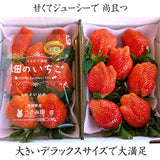 いちご 【うさみ園】 やよいひめ (7～9個)400g×2トレイ 800g  ステビア栽培 低農薬 完熟 茨城県鉾田市