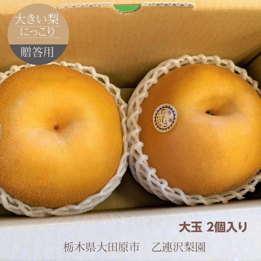 梨 【 乙連沢梨園 】大きい にっこり  1.8kg (900g×2個) 贈答用 プレゼント 栃木県  《10/中旬～10/下旬より出荷》