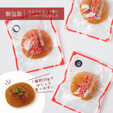 干し柿 【種まきうさぎ】 五十沢 種無し あんぽ柿  600g 12個 家庭用 ポスト投函 福島県伊達 《12/20頃～12/下旬より出荷》