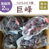 ぶどう 【つぶらぶどう園】 家庭用 巨峰 種無し 2kg  栃木県栃木市 《7/上旬～7/中旬より出荷》