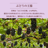 ぶどう 【つぶらぶどう園】 家庭用 巨峰 種無し 2kg  栃木県栃木市 《7/上旬～7/中旬より出荷》