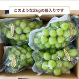 ぶどう 【つぶらぶどう園】 家庭用 シャインマスカット 2kg  栃木県栃木市 《7/上旬～7/中旬より出荷》