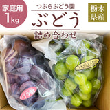 ぶどう 【つぶらぶどう園】 家庭用 詰合せ ぶどう色々 品種お任せ 1kg  栃木県栃木市 《7/上旬～7/中旬より出荷》