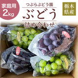 ぶどう 【つぶらぶどう園】 家庭用 詰合せ ぶどう色々 品種お任せ 2kg 栃木県栃木市 《7/上旬～7/中旬より出荷》