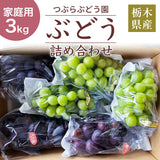 ぶどう 【つぶらぶどう園】 家庭用 詰合せ ぶどう色々 品種お任せ 3kg 栃木県栃木市 《7/上旬～7/中旬より出荷》