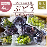 ぶどう 【つぶらぶどう園】 家庭用 詰合せ ぶどう色々 品種お任せ 4kg 栃木県栃木市 《7/上旬～7/中旬より出荷》