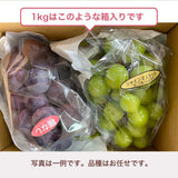 ぶどう 【つぶらぶどう園】 家庭用 詰合せ ぶどう色々 品種お任せ 1kg  栃木県栃木市 《7/上旬～7/中旬より出荷》