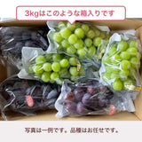 ぶどう 【つぶらぶどう園】 家庭用 詰合せ ぶどう色々 品種お任せ 3kg 栃木県栃木市 《7/上旬～7/中旬より出荷》