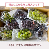 ぶどう 【つぶらぶどう園】 家庭用 詰合せ ぶどう色々 品種お任せ 4kg 栃木県栃木市 《7/上旬～7/中旬より出荷》