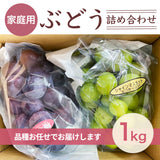 ぶどう 【つぶらぶどう園】 家庭用 詰合せ ぶどう色々 品種お任せ 1kg  栃木県栃木市 《7/上旬～7/中旬より出荷》