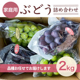 ぶどう 【つぶらぶどう園】 家庭用 詰合せ ぶどう色々 品種お任せ 2kg 栃木県栃木市 《7/上旬～7/中旬より出荷》