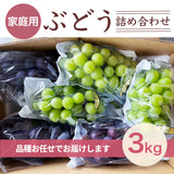 ぶどう 【つぶらぶどう園】 家庭用 詰合せ ぶどう色々 品種お任せ 3kg 栃木県栃木市 《7/上旬～7/中旬より出荷》
