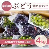 ぶどう 【つぶらぶどう園】 家庭用 詰合せ ぶどう色々 品種お任せ 4kg 栃木県栃木市 《7/上旬～7/中旬より出荷》