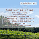 ぶどう 【内海ぶどう園】 葡萄 詰合せ 品種お任せ 2kg 3～6房 贈答用 栃木県栃木市《8/中旬～8/下旬より出荷》