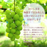 ぶどう 【内海ぶどう園】 葡萄 詰合せ 品種お任せ 2kg 3～6房 贈答用 栃木県栃木市《8/中旬～8/下旬より出荷》