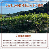 ぶどう マスタード 【内海ぶどう園】 葡萄のマスタード 190g 栃木県栃木市